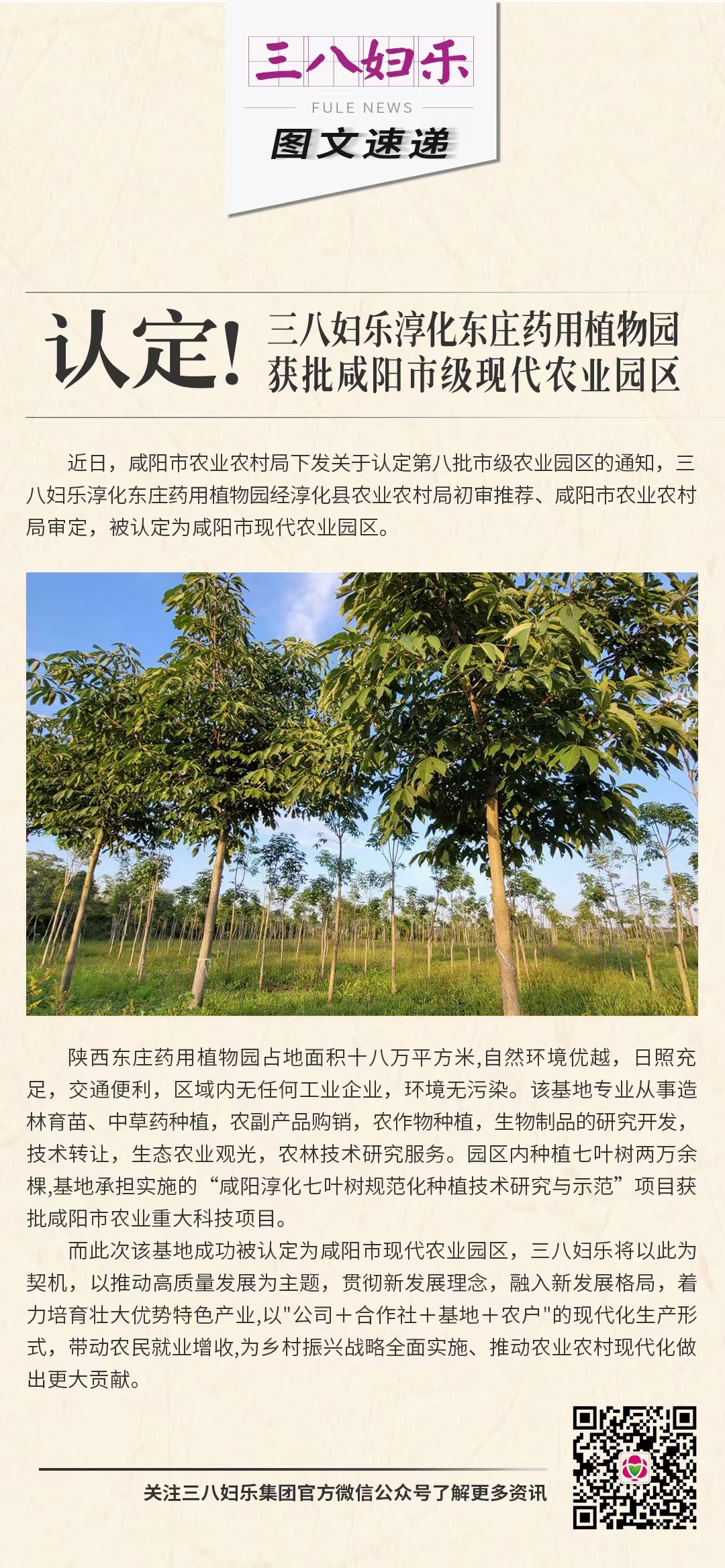 認(rèn)定！三八婦樂淳化東莊藥用植物園獲批咸陽市級現(xiàn)代農(nóng)業(yè)園區(qū)